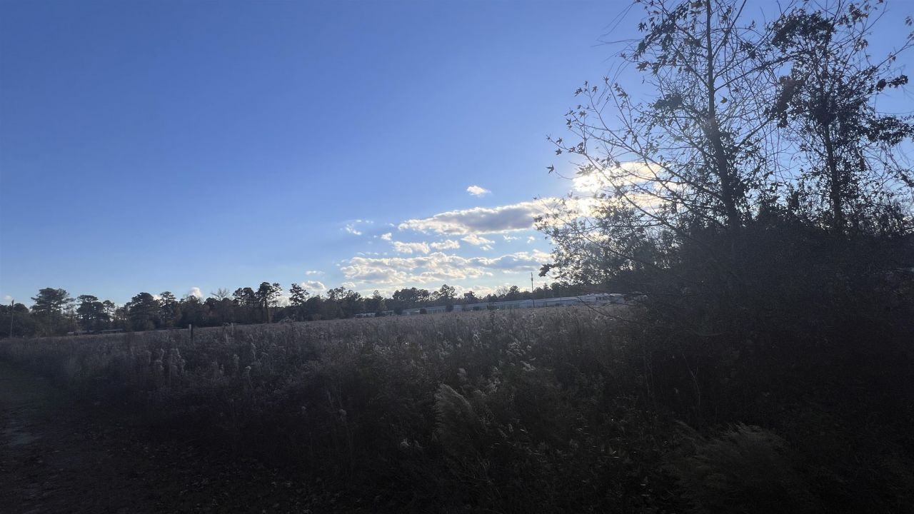 10.79 Acres Highway 90 Photo 4