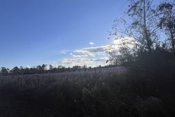 10.79 Acres Highway 90 photo 4