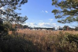 10.79 Acres Highway 90 photo 4