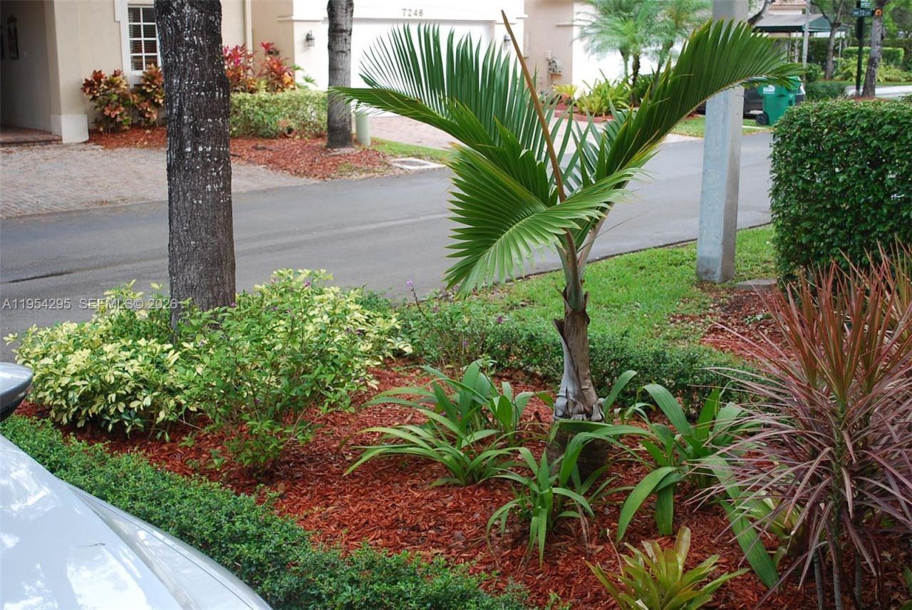 7233 NW 113th Ct, Doral, FL 33178 Photo