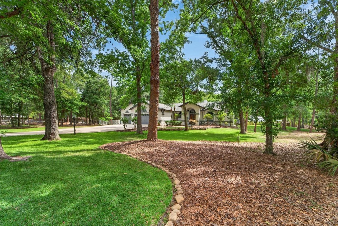 8518 Quail Hollow Boulevard, Wesley Chapel, FL 33544 Photo