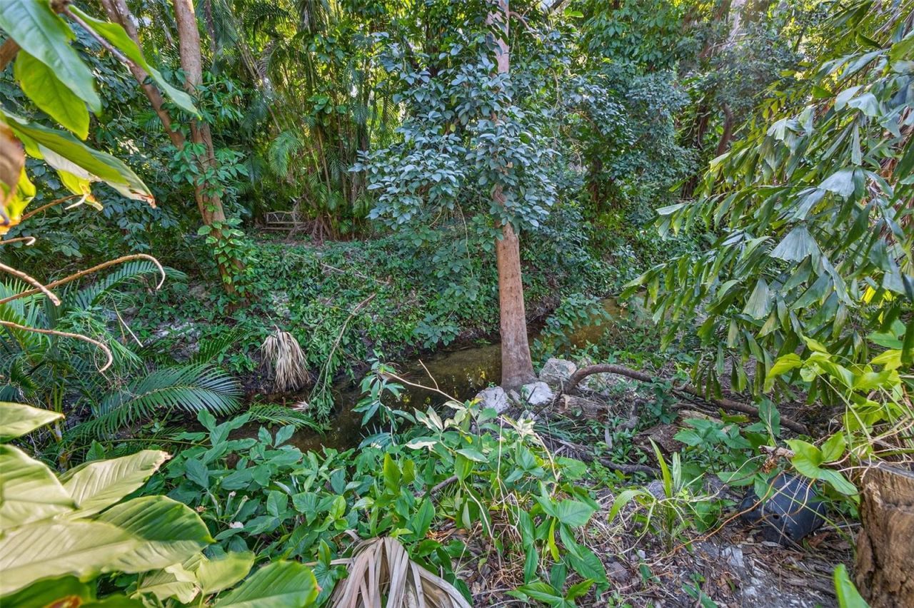 1581 Alexander Road, Belleair, FL 33756 Photo