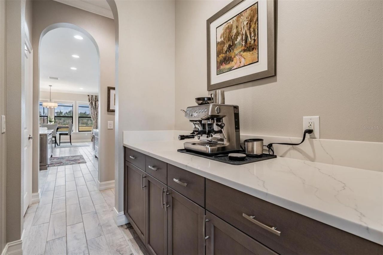 28700 Corbara Place, Wesley Chapel, FL 33543 Photo