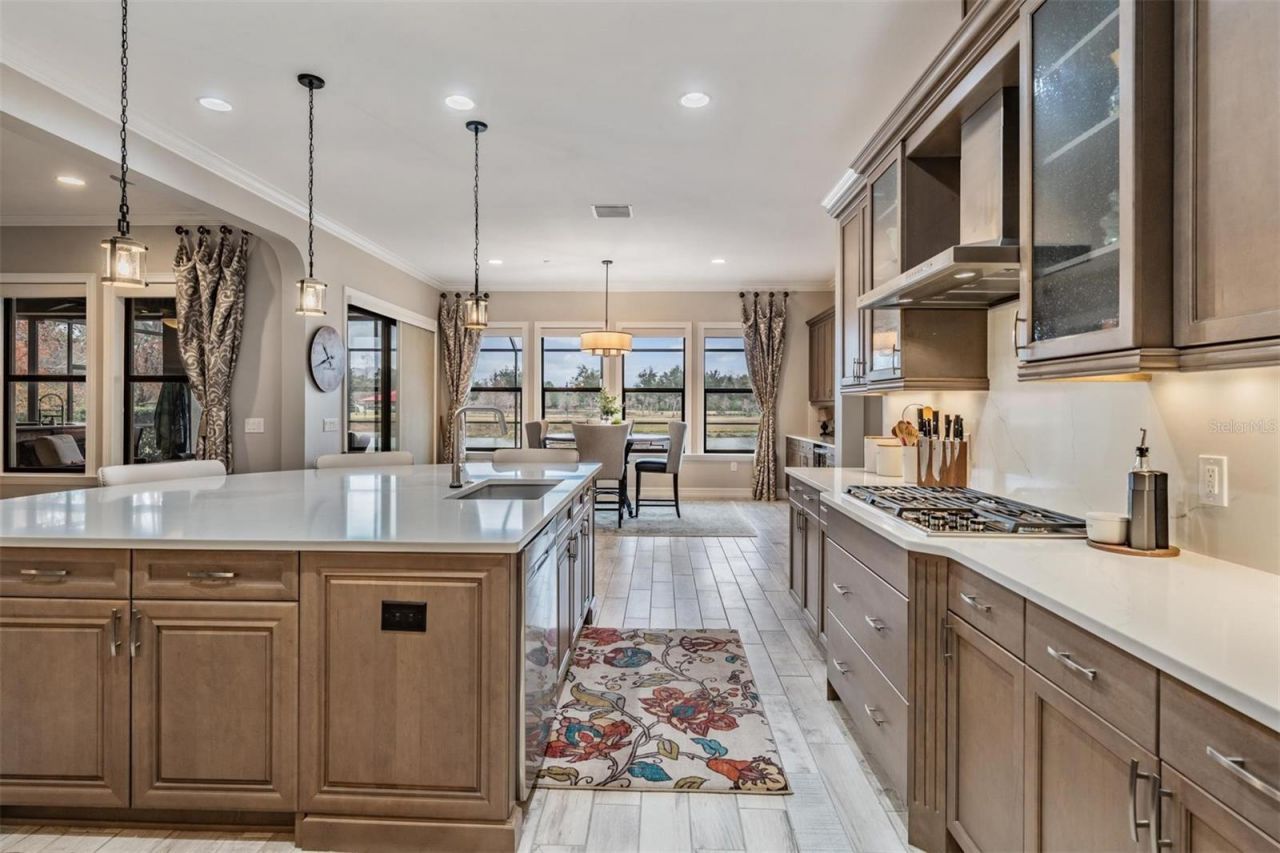 28700 Corbara Place, Wesley Chapel, FL 33543 Photo