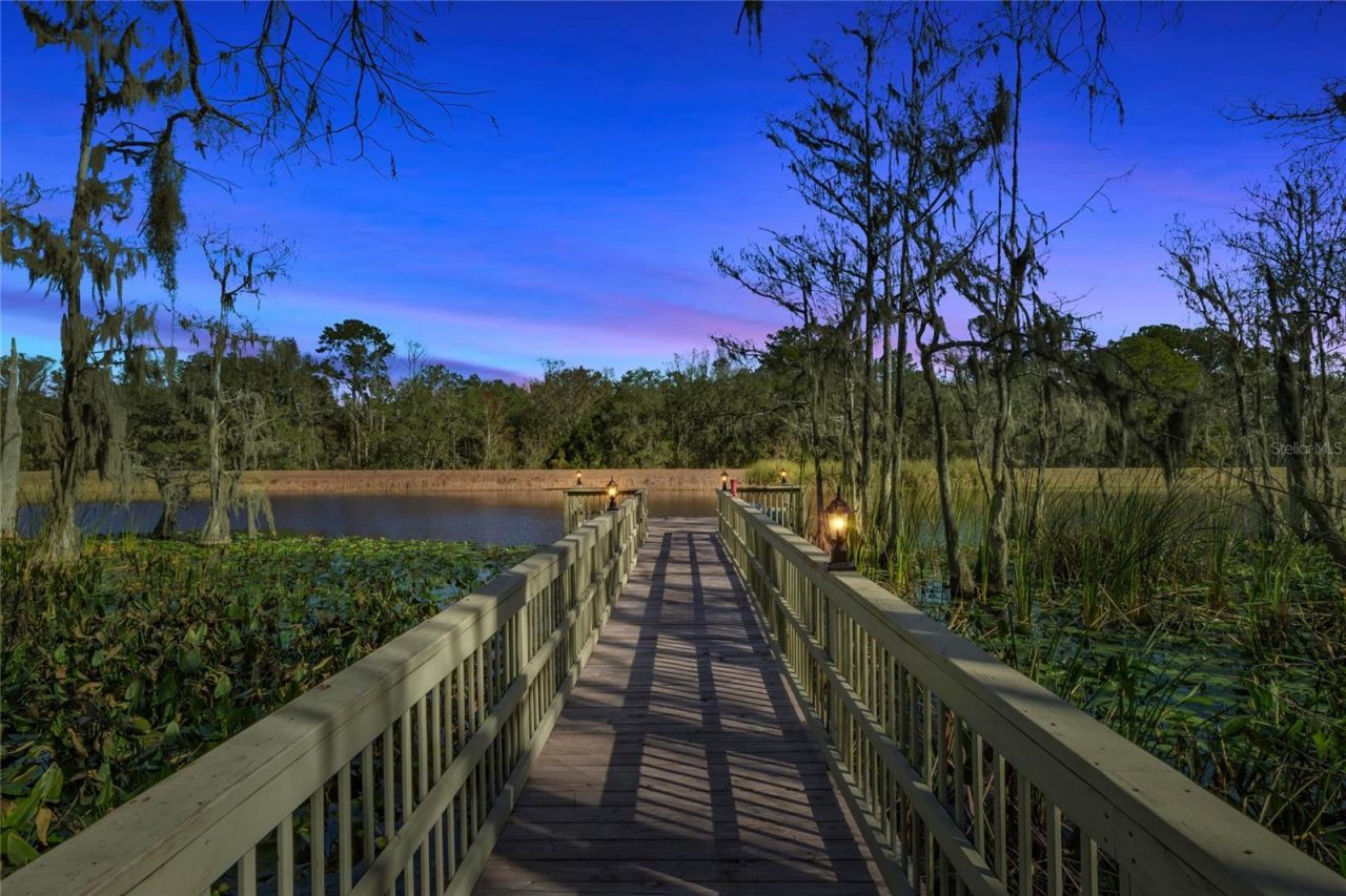 351 Sequoia Dr, Ocklawaha, FL 32179 Photo