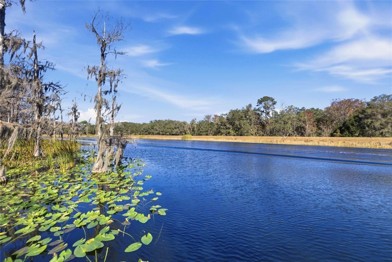 351 Sequoia Dr, Ocklawaha, FL 32179 Photo