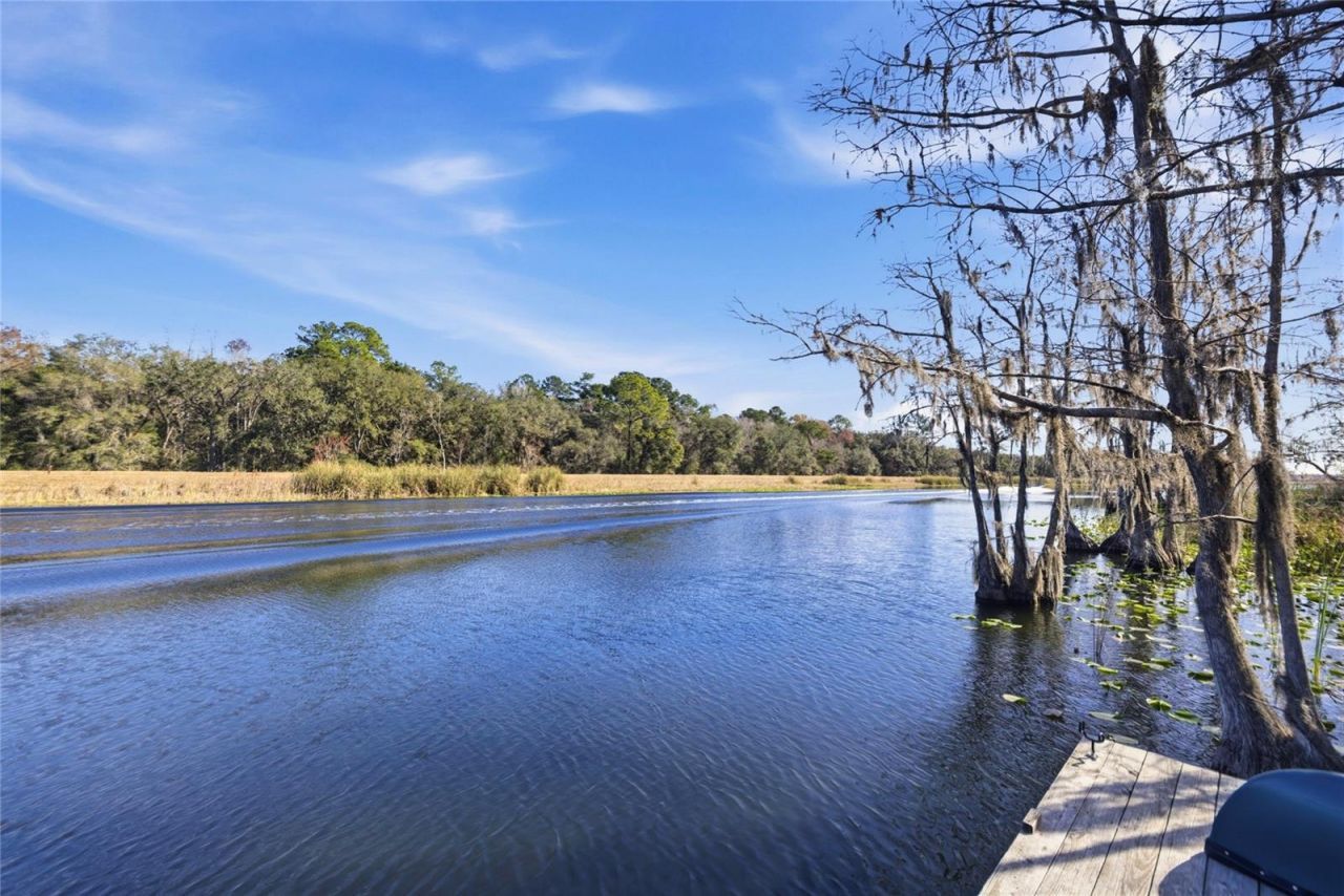 351 Sequoia Dr, Ocklawaha, FL 32179 Photo