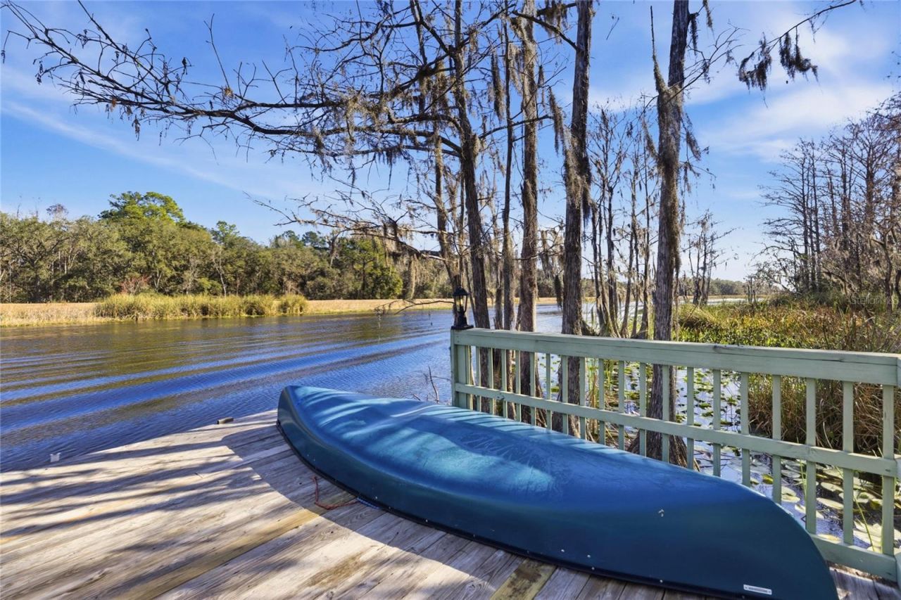 351 Sequoia Dr, Ocklawaha, FL 32179 Photo