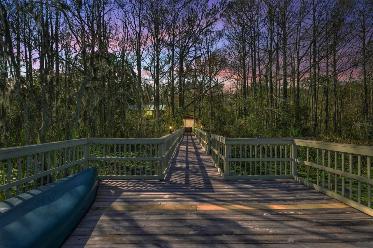 351 Sequoia Dr, Ocklawaha, FL 32179 Photo