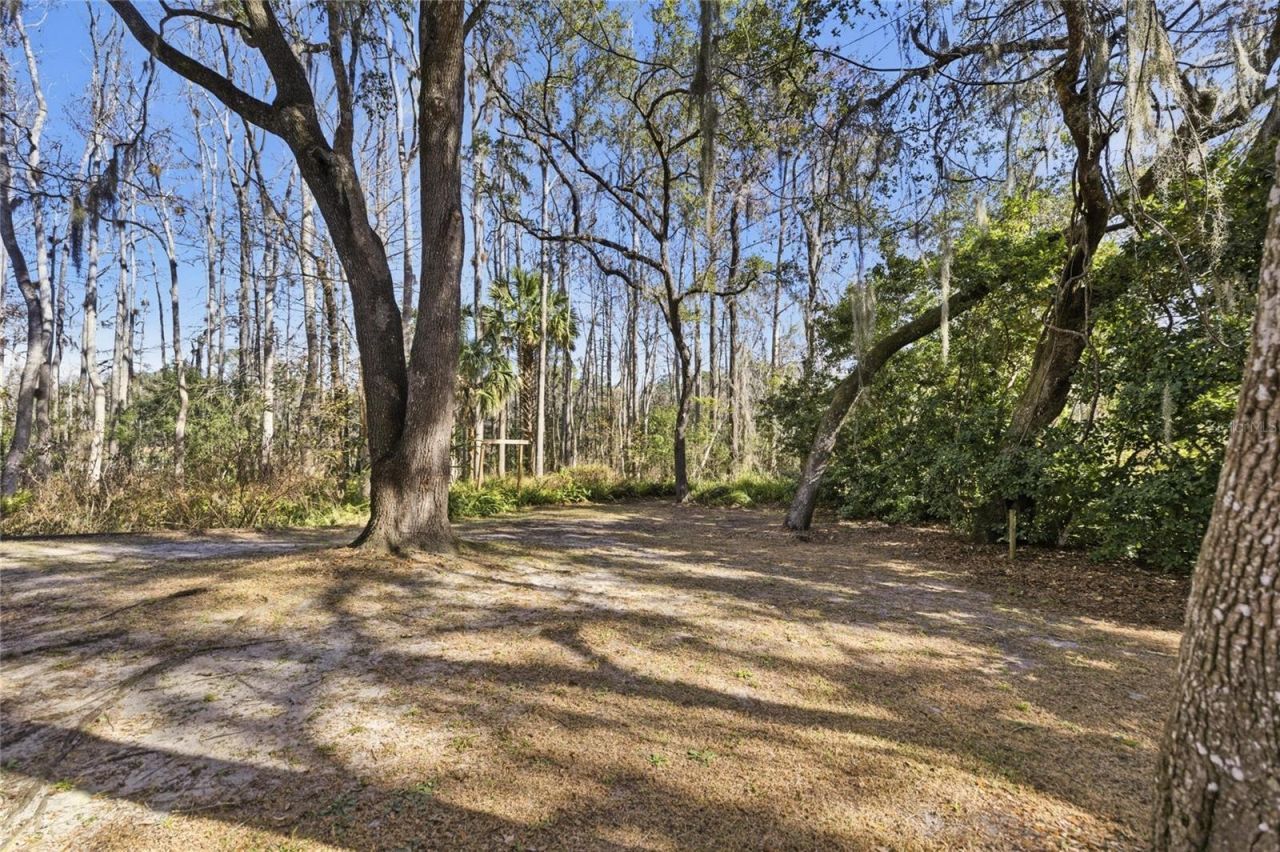 351 Sequoia Dr, Ocklawaha, FL 32179 Photo