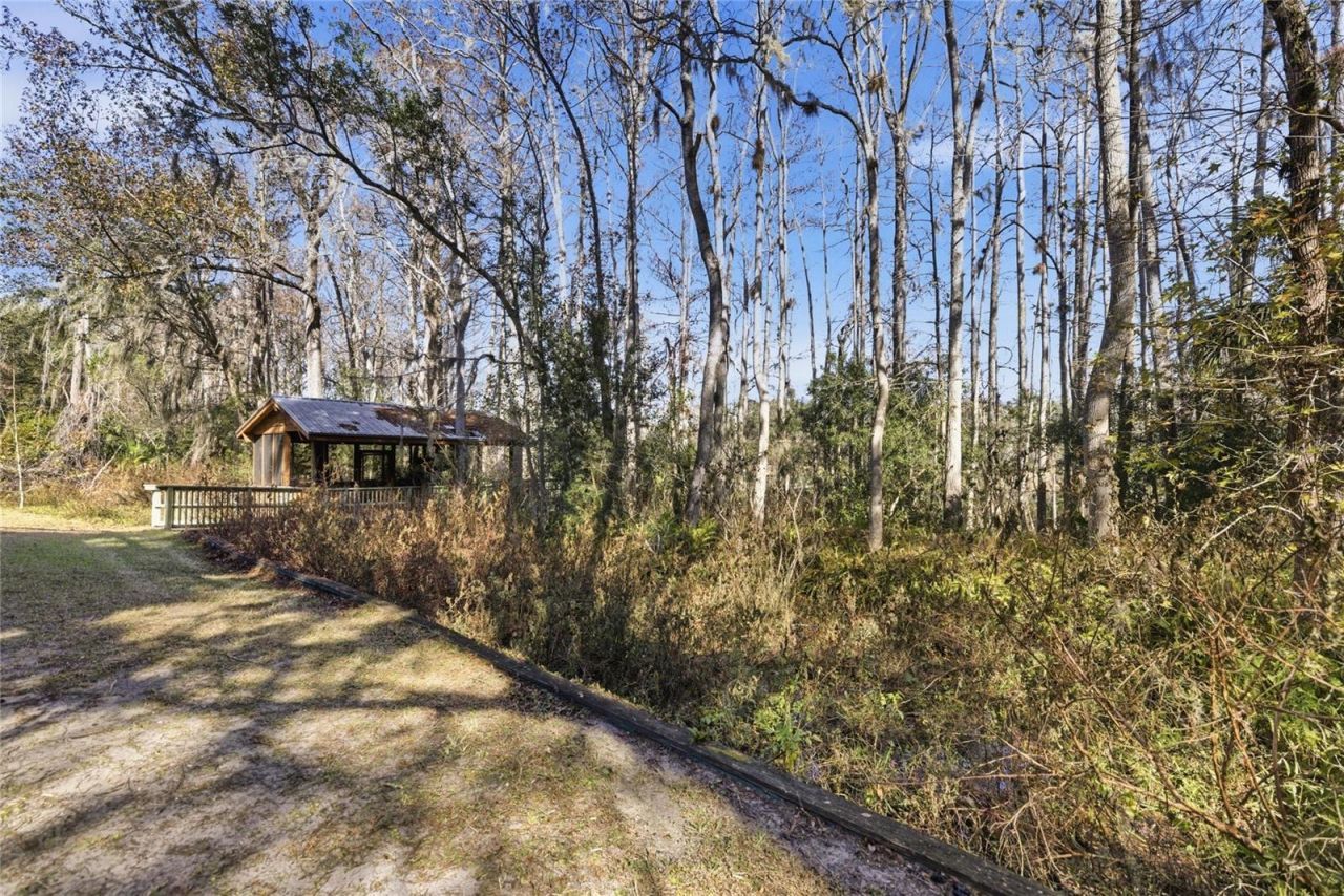 351 Sequoia Dr, Ocklawaha, FL 32179 Photo