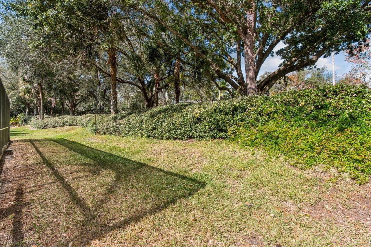 10122 Whisper Pointe Drive, Tampa, FL 33647 Photo
