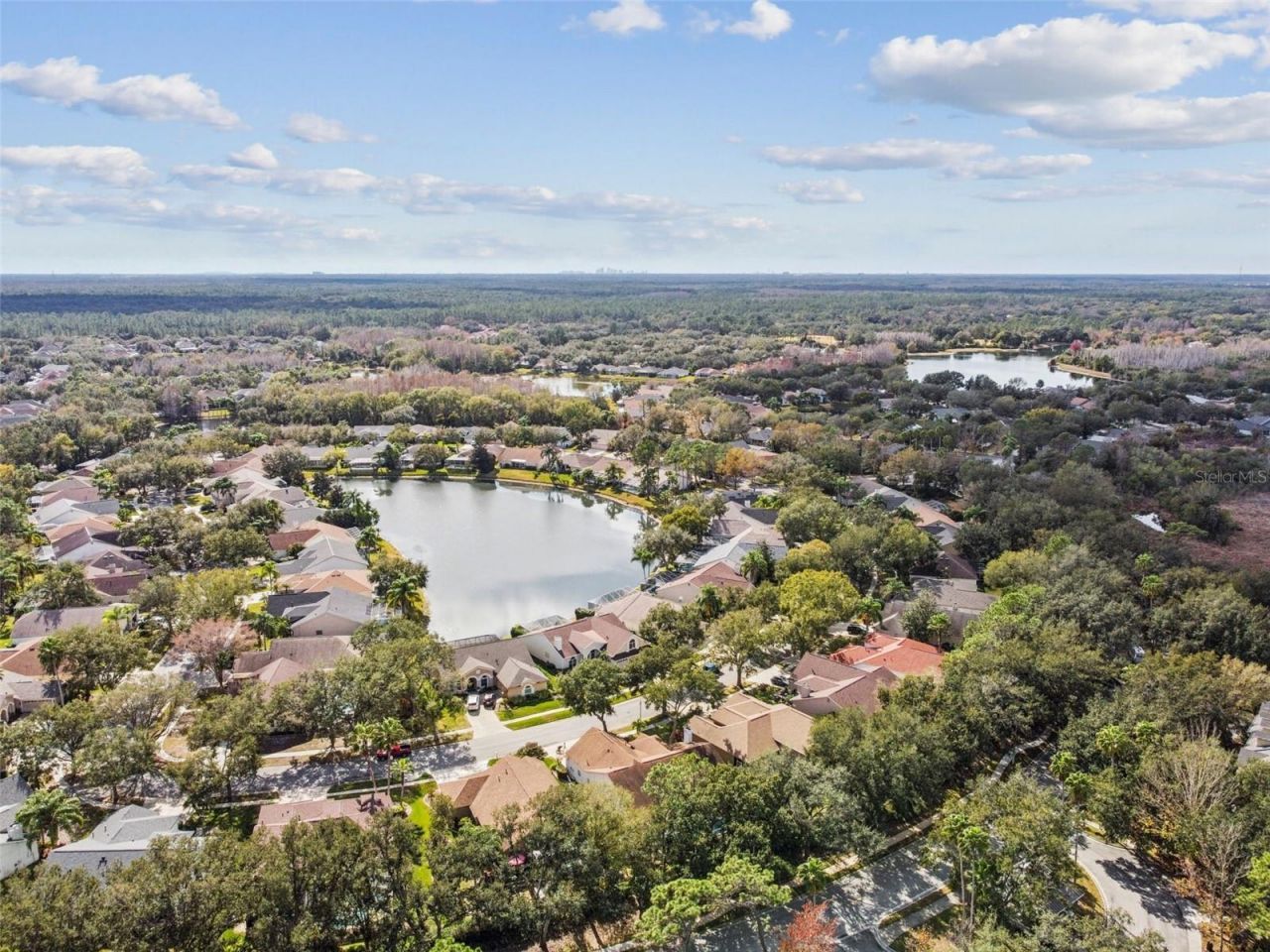 10122 Whisper Pointe Drive, Tampa, FL 33647 Photo