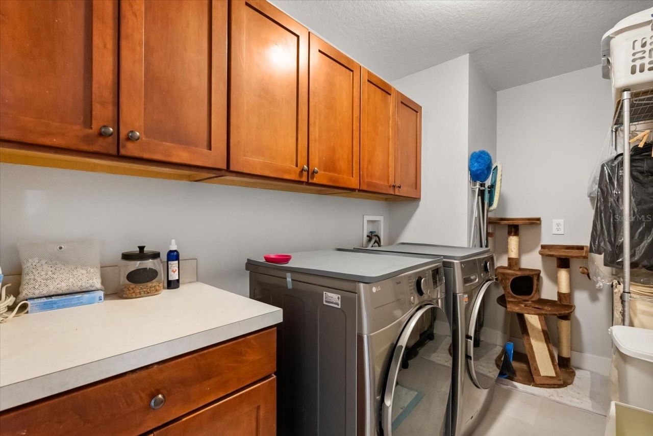 13850 Carolina Laurel Drive, Orlando, FL 32828 Photo