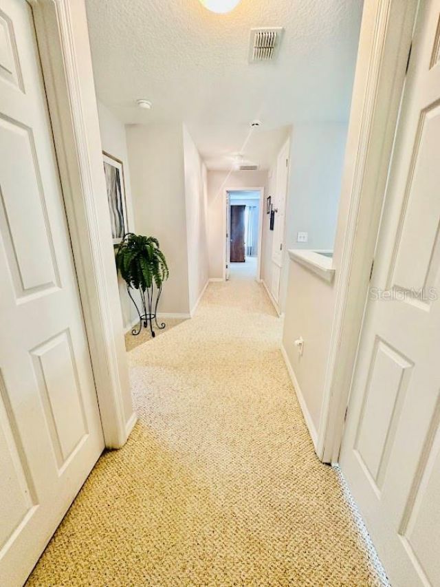 13850 Carolina Laurel Drive, Orlando, FL 32828 Photo