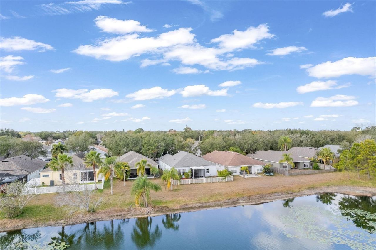 6811 Monarch Park Drive, Apollo Beach, FL 33572 Photo