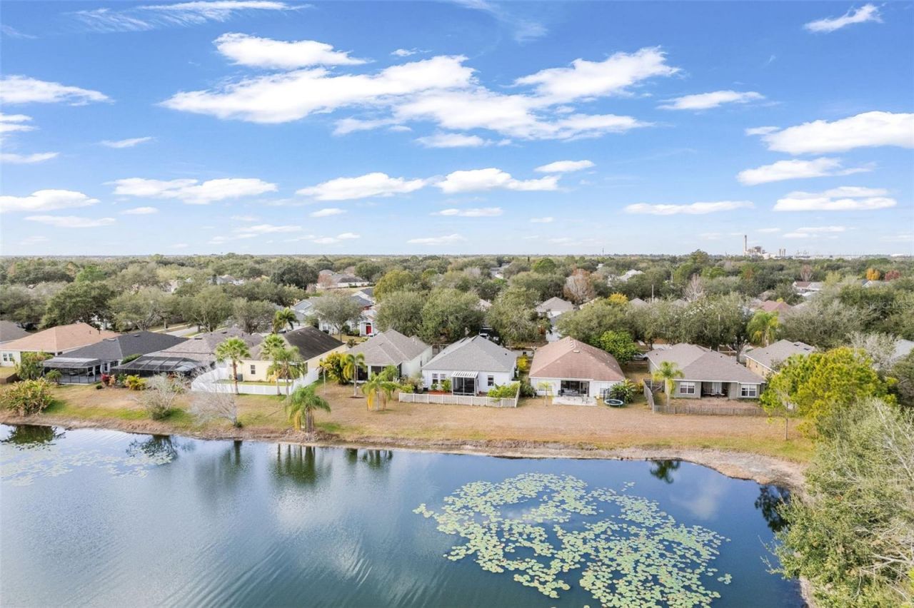 6811 Monarch Park Drive, Apollo Beach, FL 33572 Photo