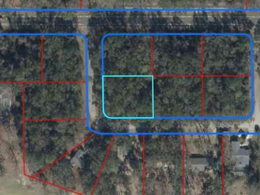 TBD NW 115TH STREET, CHIEFLAND, FL 32626