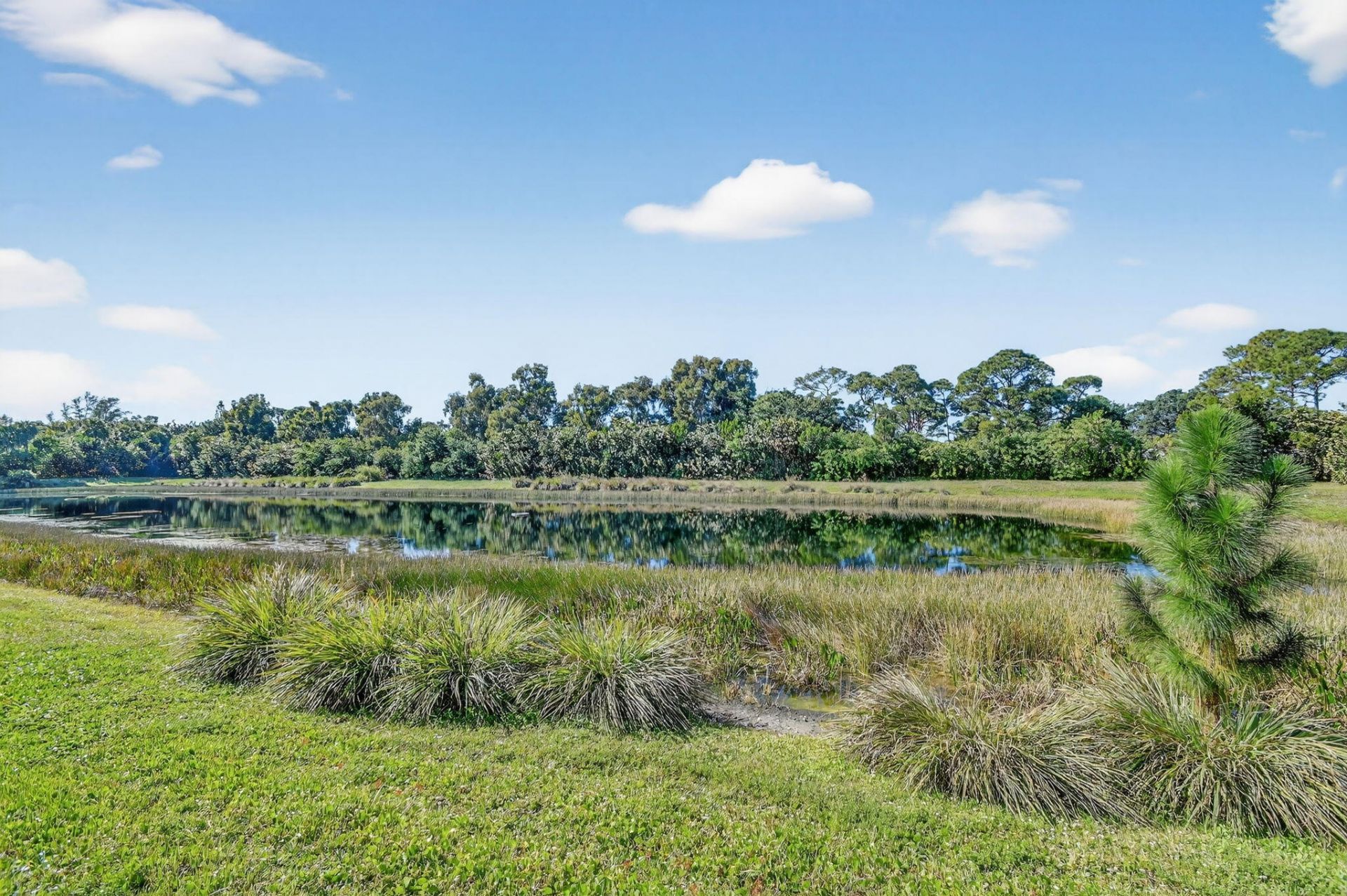 4545 Tara Cove Way, West Palm Beach, FL 33417 Photo