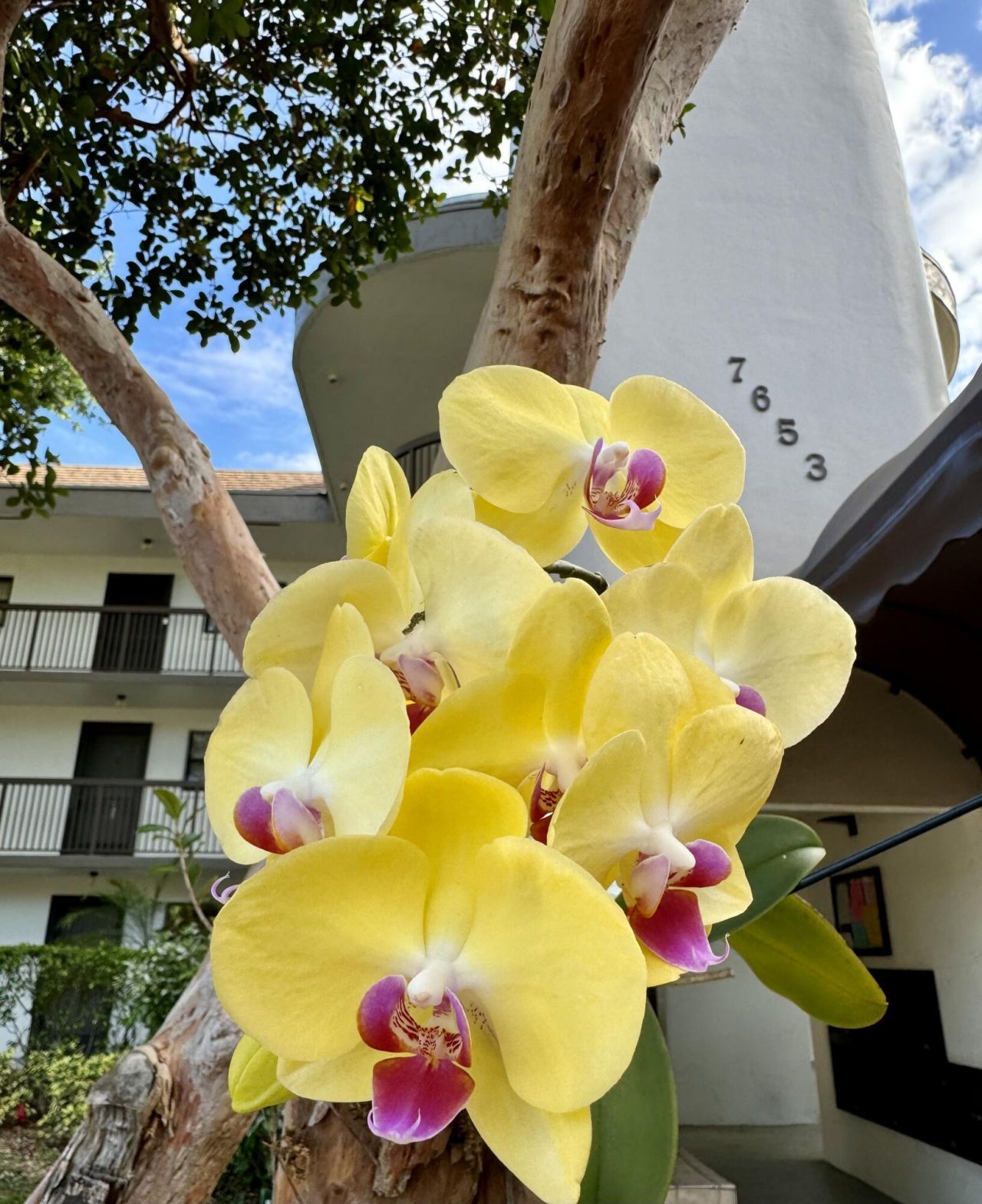 7653 NW 79 Avenue, Unit 110, Tamarac, FL 33321 Photo
