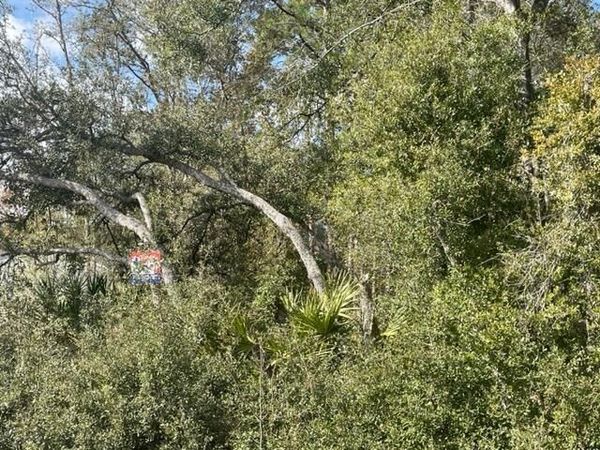 000 Malauka Cir Circle, Ocklawaha, FL 32179