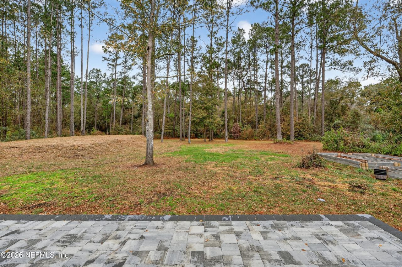 4028 Little Bit Court, Middleburg, FL 32068 Photo