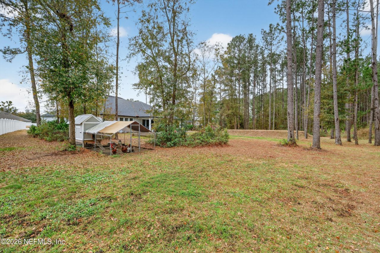 4028 Little Bit Court, Middleburg, FL 32068 Photo