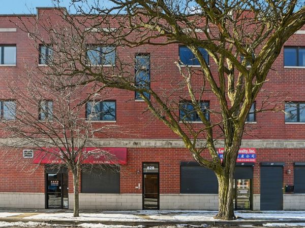 828 W 31st Street, Unit 3N, Chicago, IL 60608
