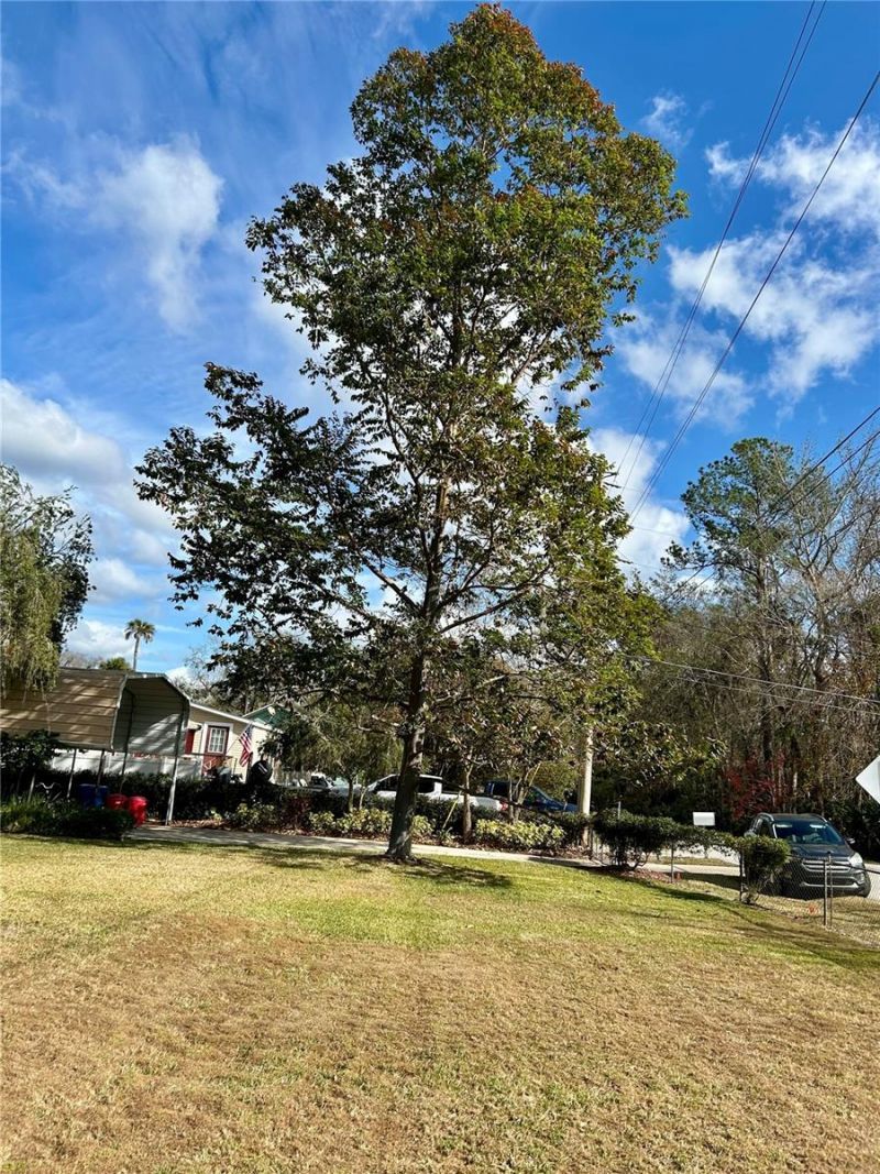 55730 Holiday  Circle, Astor, FL 32102 Photo