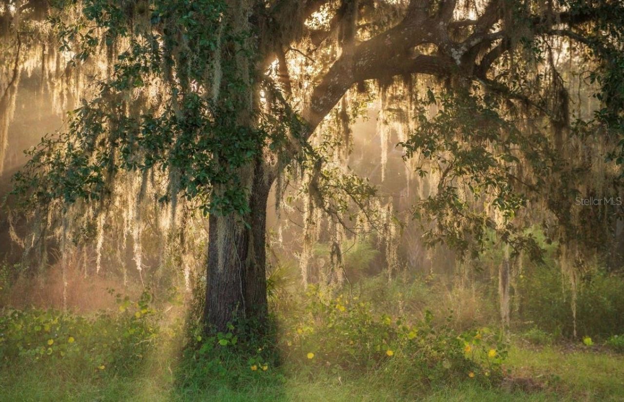 1061 Harris Road, Arcadia, FL 34266 Photo