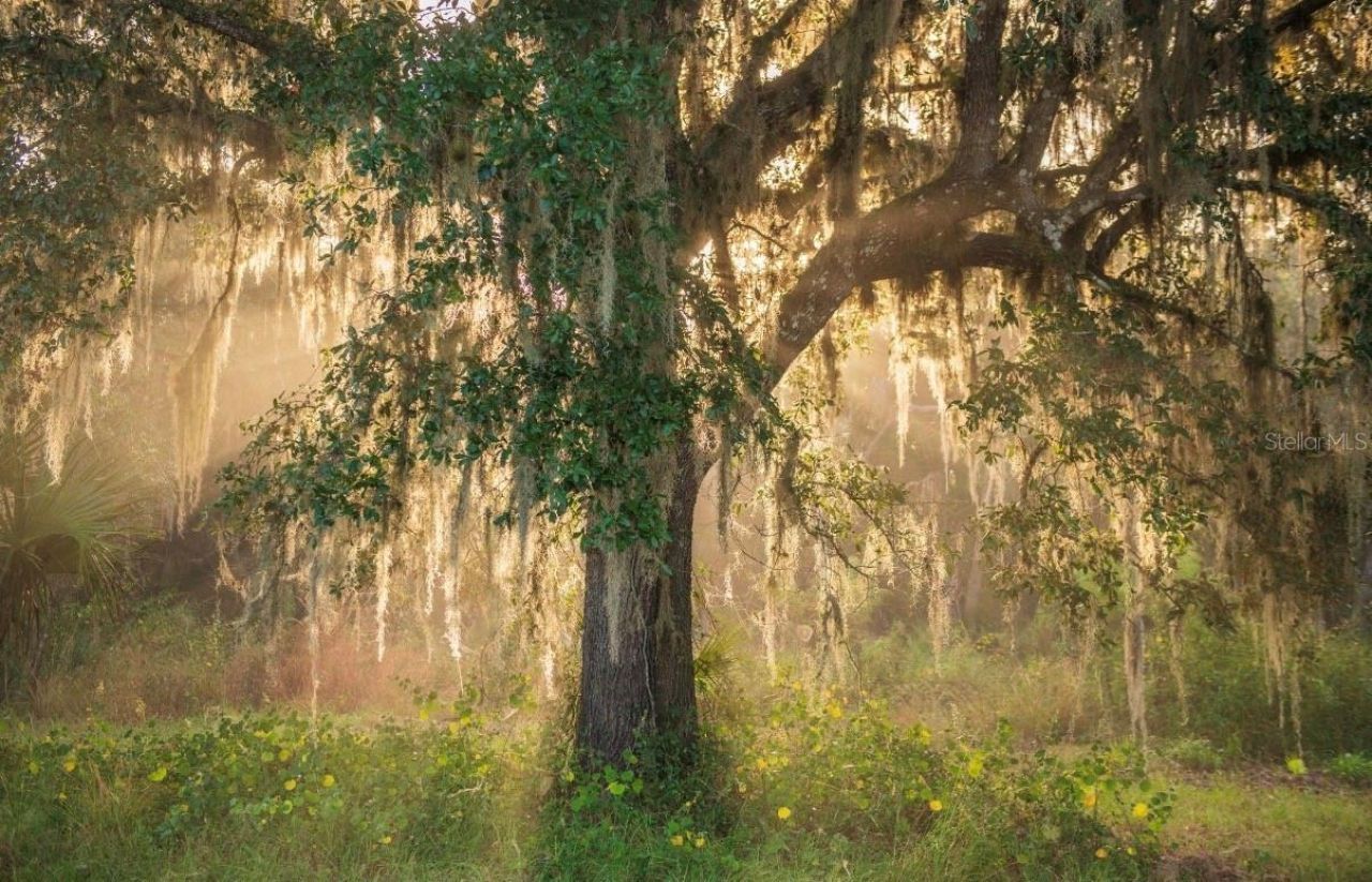 1061 Harris Road, Arcadia, FL 34266 Photo