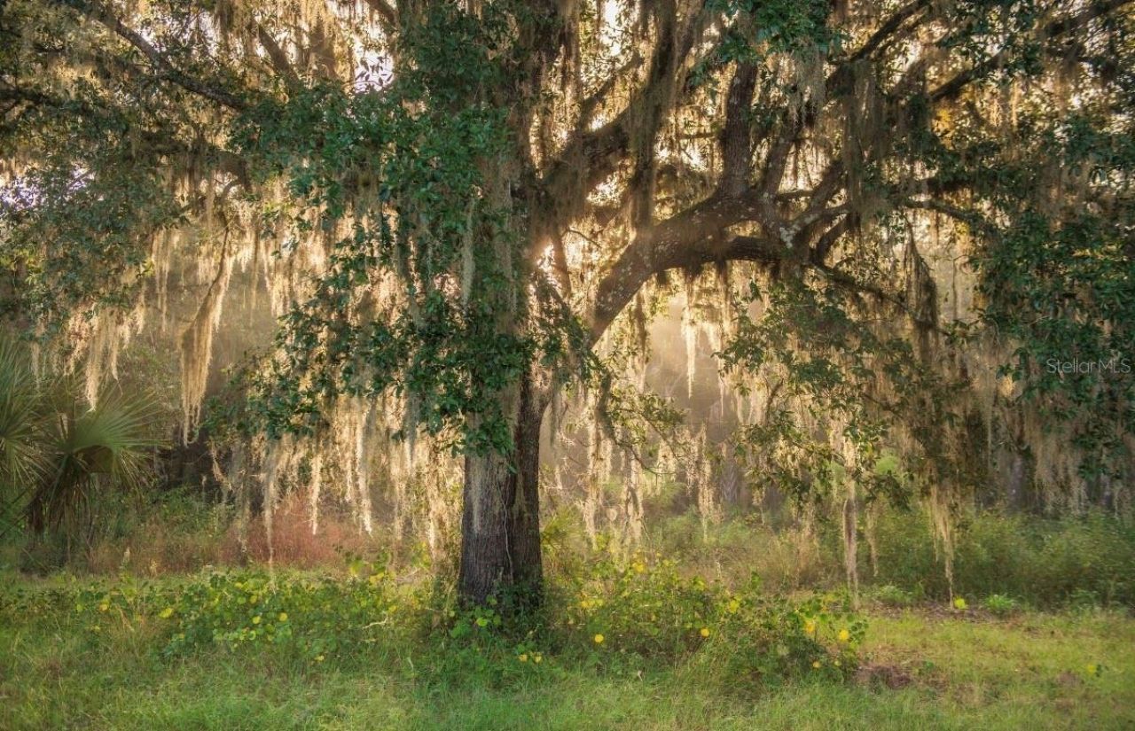 1061 Harris Road, Arcadia, FL 34266 Photo