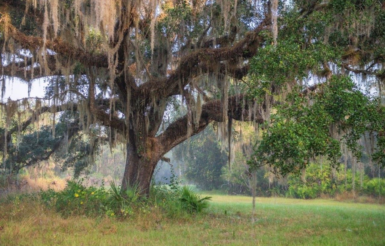 1061 Harris Road, Arcadia, FL 34266 Photo