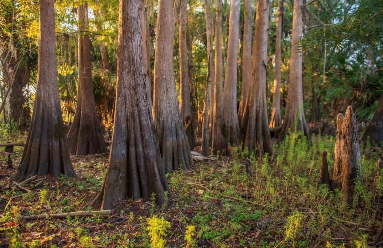 1061 Harris Road, Arcadia, FL 34266 Photo