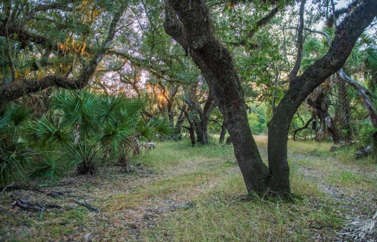 1061 Harris Road, Arcadia, FL 34266 Photo