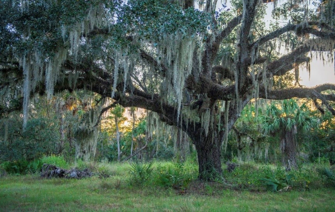 1061 Harris Road, Arcadia, FL 34266 Photo