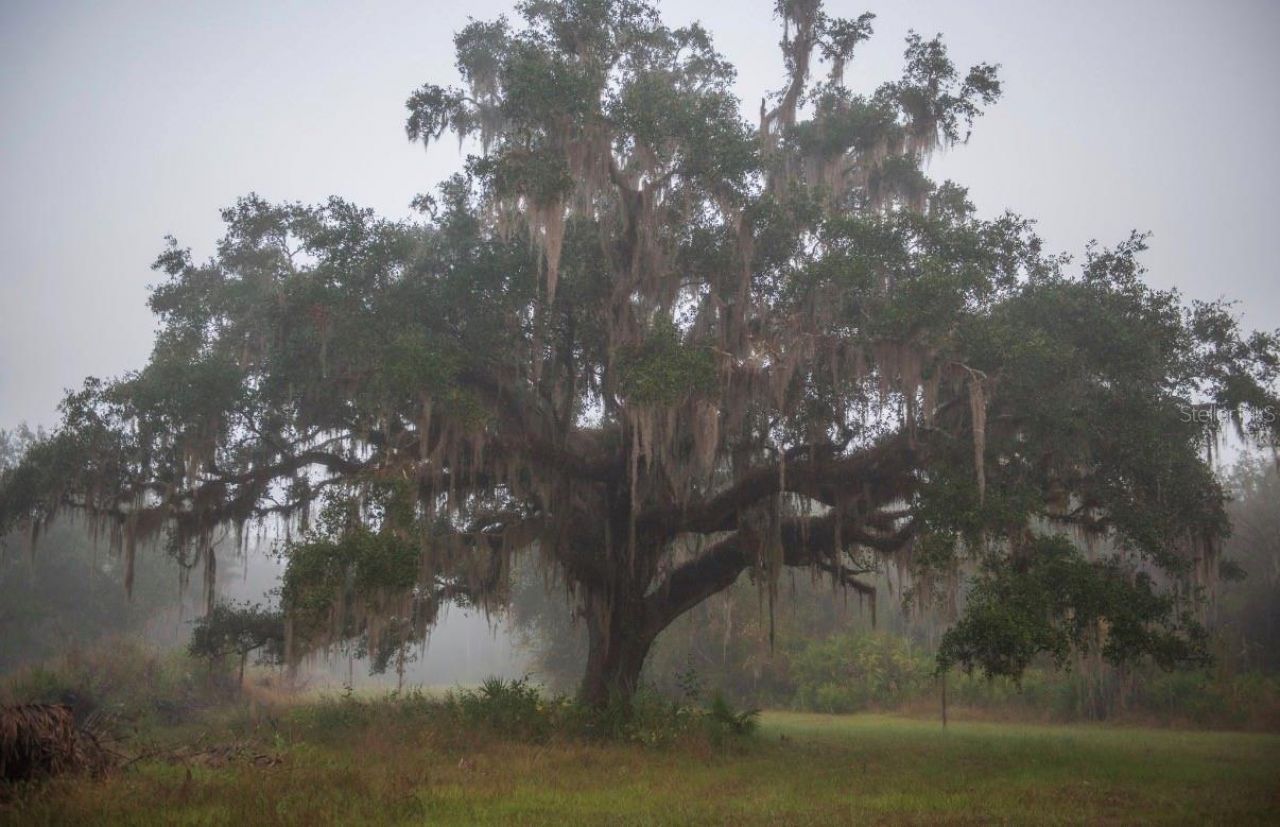 1061 Harris Road, Arcadia, FL 34266 Photo