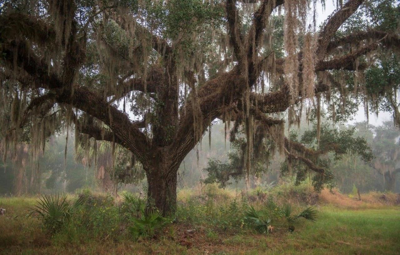 1061 Harris Road, Arcadia, FL 34266 Photo