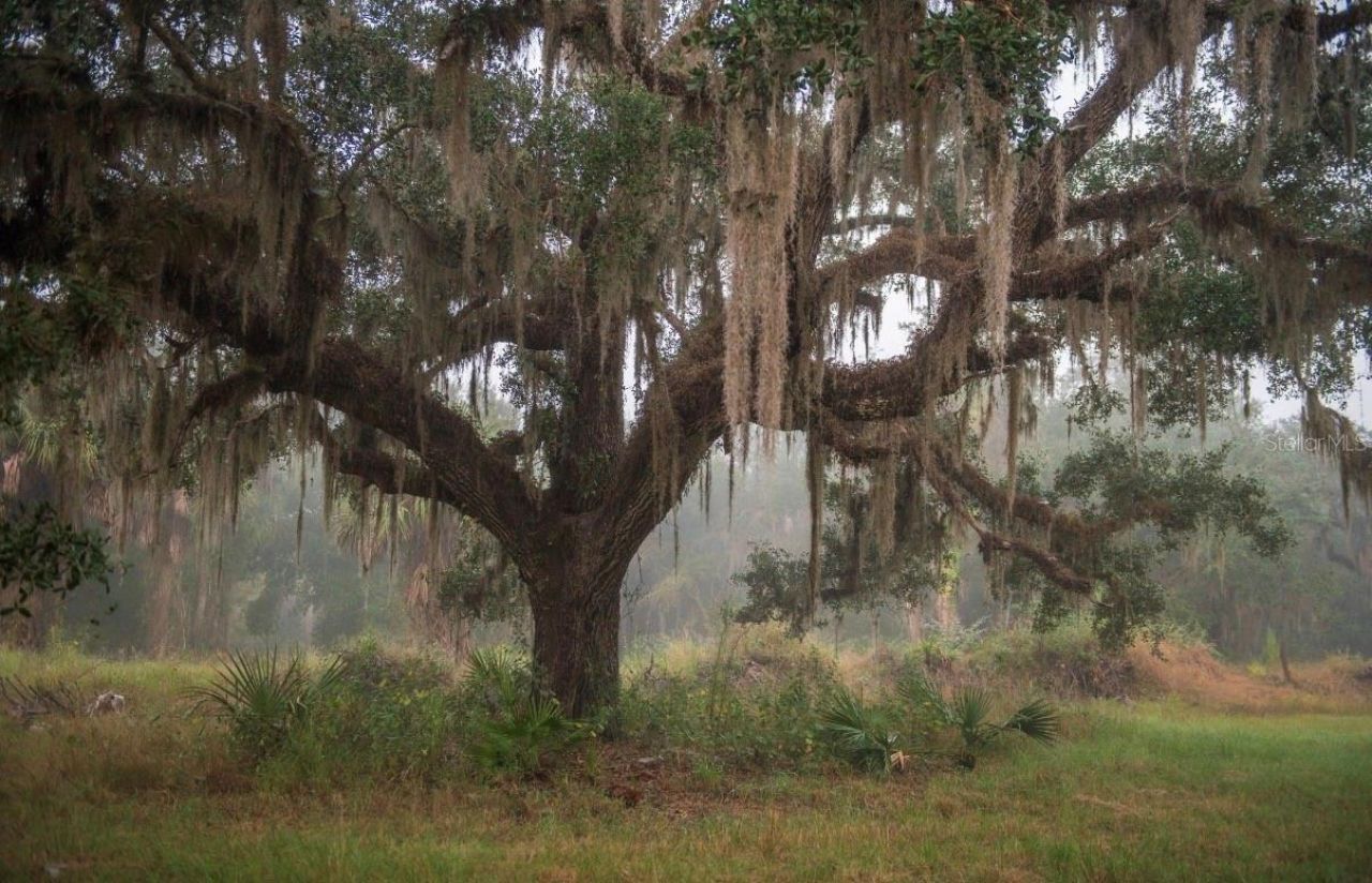 1061 Harris Road, Arcadia, FL 34266 Photo