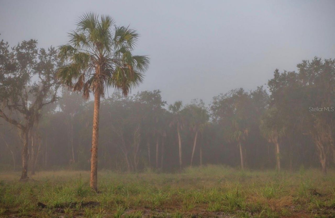 1061 Harris Road, Arcadia, FL 34266 Photo