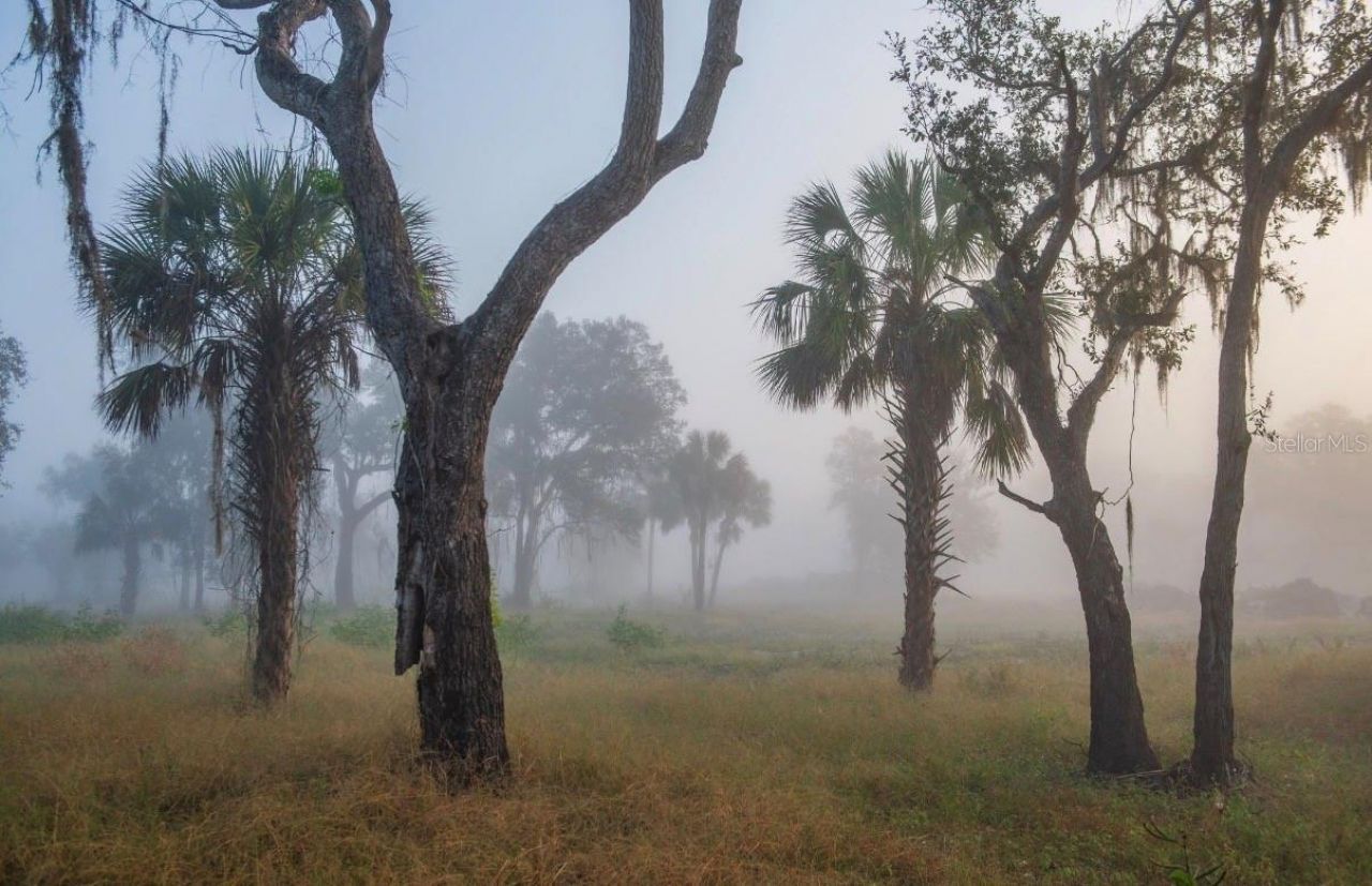 1061 Harris Road, Arcadia, FL 34266 Photo