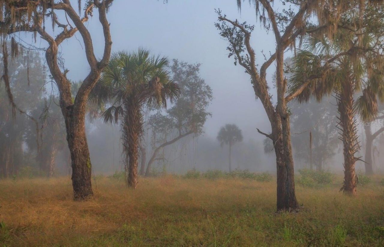 1061 Harris Road, Arcadia, FL 34266 Photo