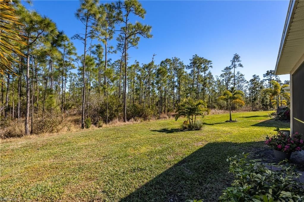 20587 Plumwood Loop, North Fort Myers, FL 33917 Photo