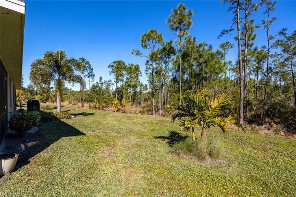 20587 Plumwood Loop, North Fort Myers, FL 33917 Photo