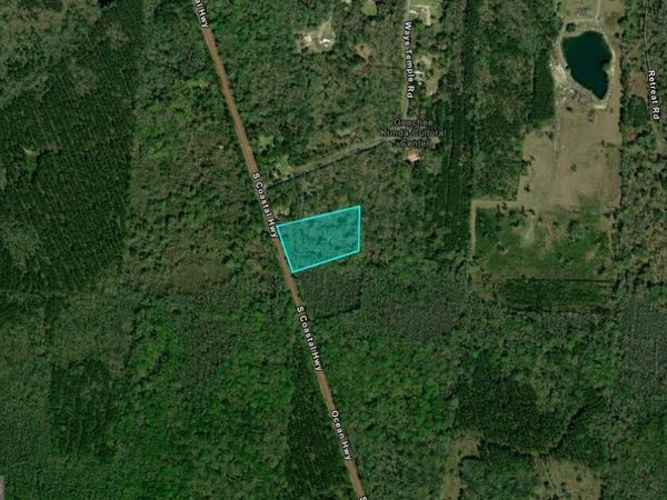 5.8 ACRES S Coastal Highway, Riceboro, GA 31323