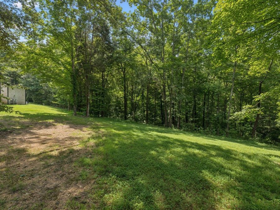 Property Image 62