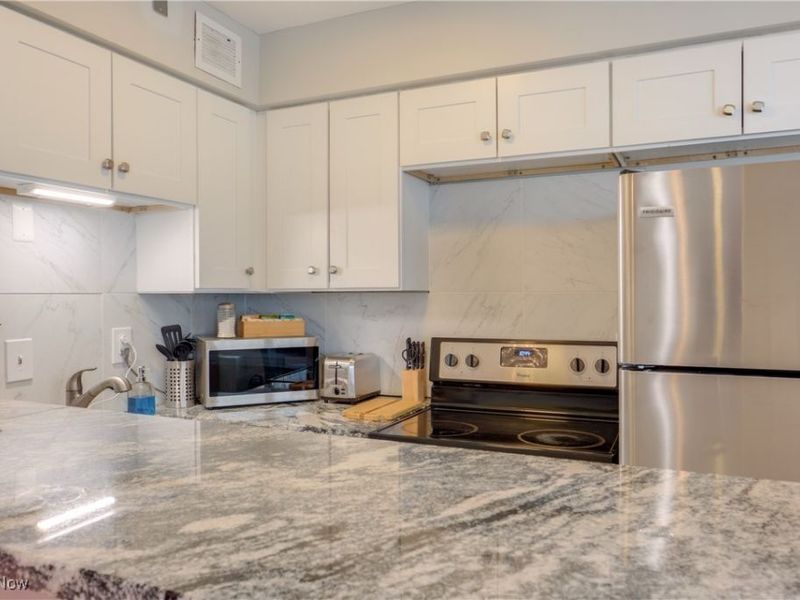 12520 Edgewater Drive, Unit 1203, Lakewood, OH 44107 Photo 7