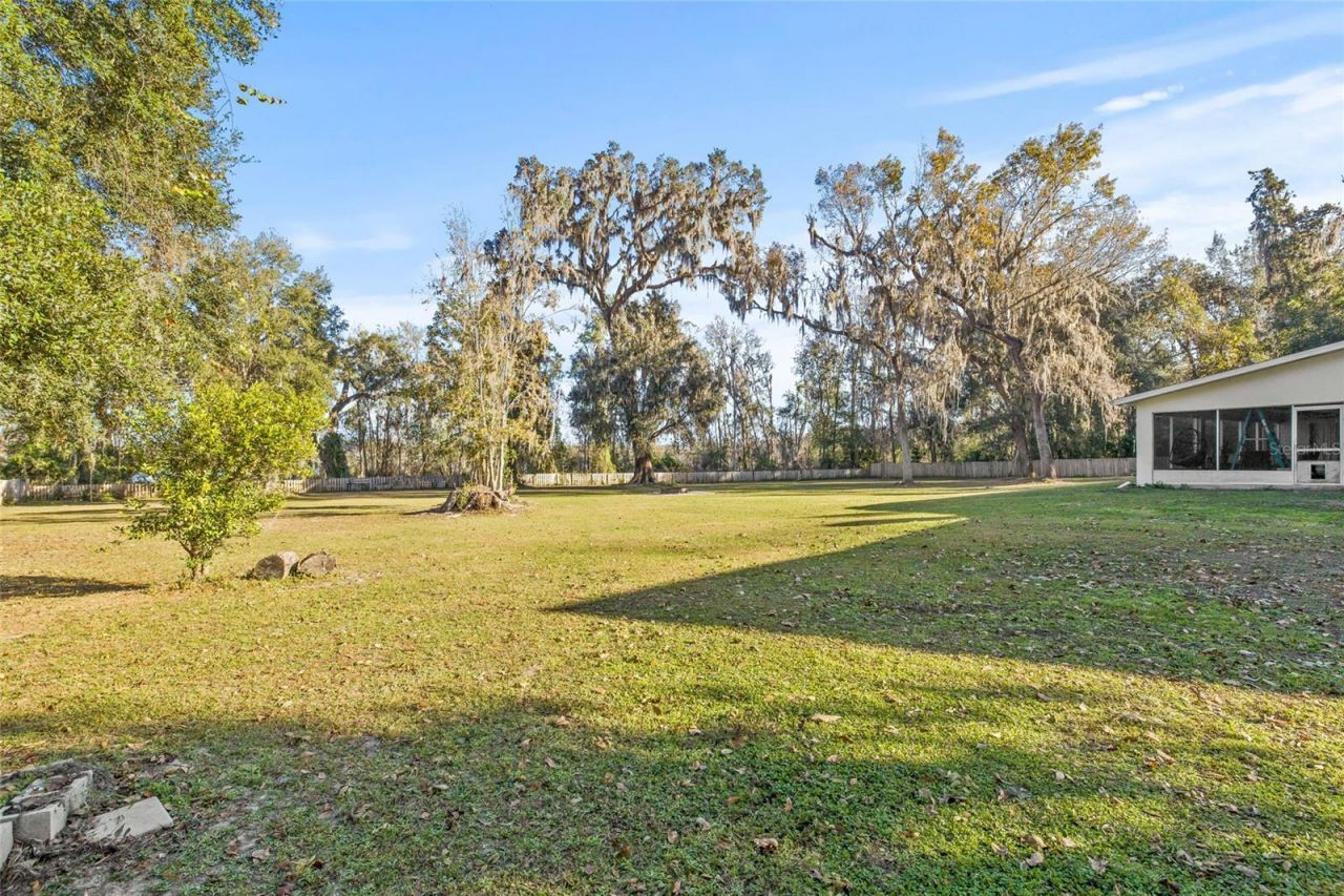 31445 Amberlea Road, Dade City, FL 33523 Photo