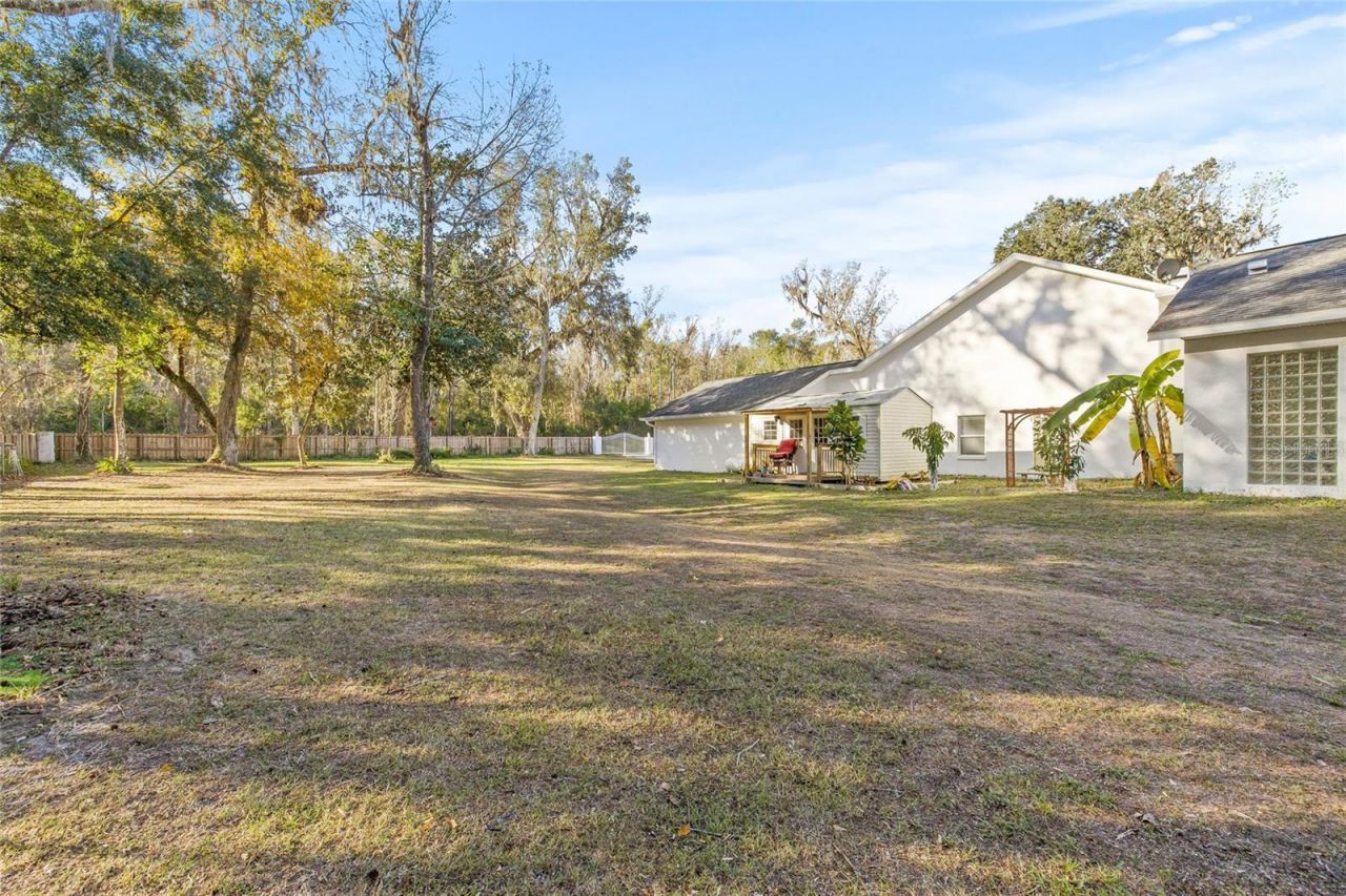 31445 Amberlea Road, Dade City, FL 33523 Photo
