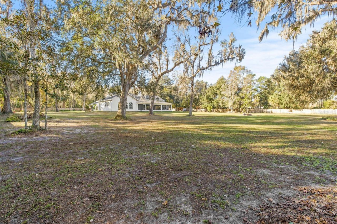 31445 Amberlea Road, Dade City, FL 33523 Photo